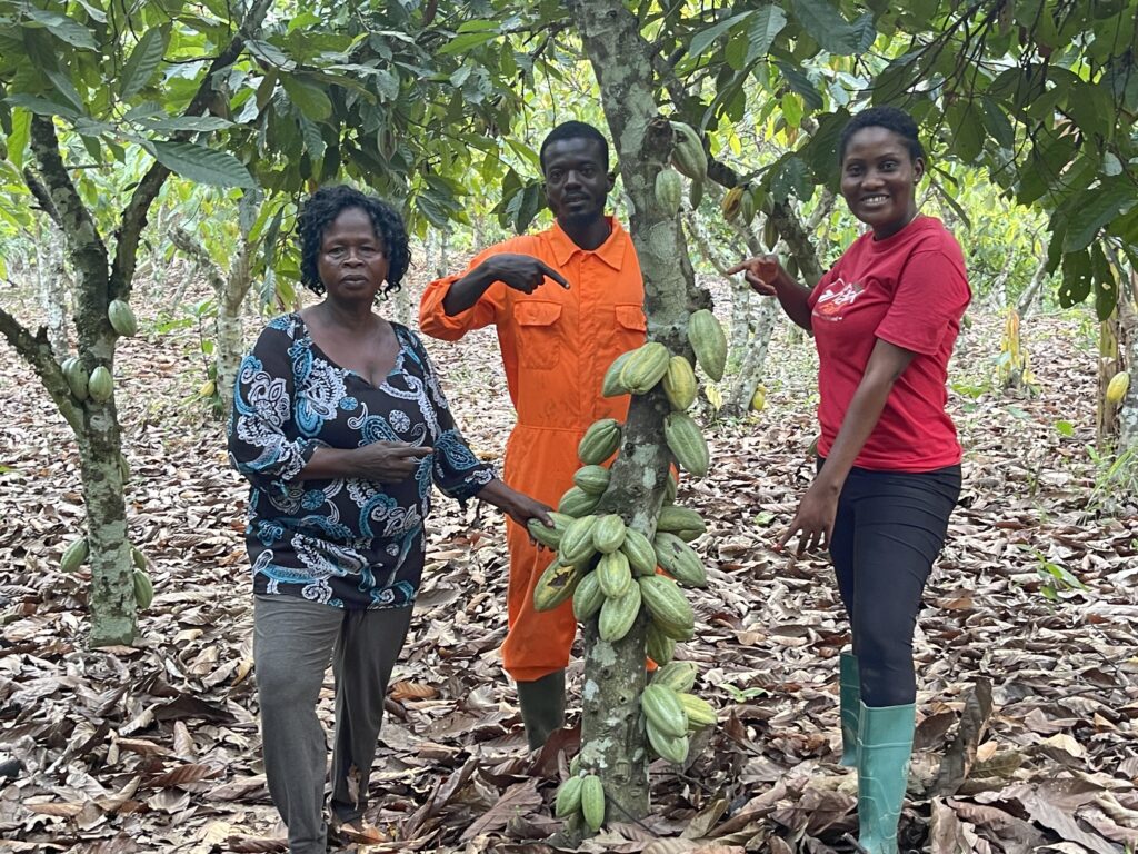 Cocoa Farmer Image