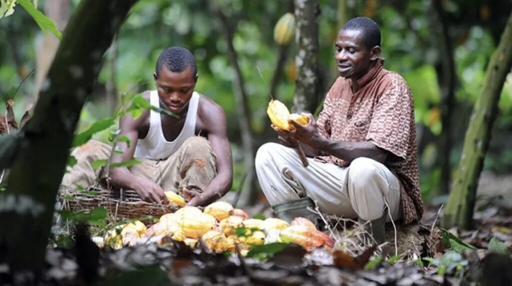 Featured Image For Story